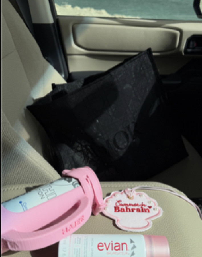 Bahrain travel accessories styled in a car